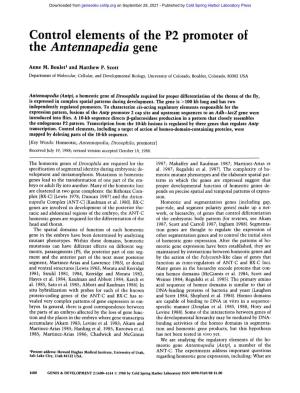 The Antennapedia Gene