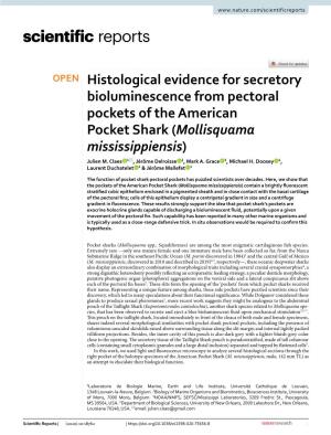 Histological Evidence for Secretory Bioluminescence from Pectoral Pockets of the American Pocket Shark (Mollisquama Mississippiensis) Julien M