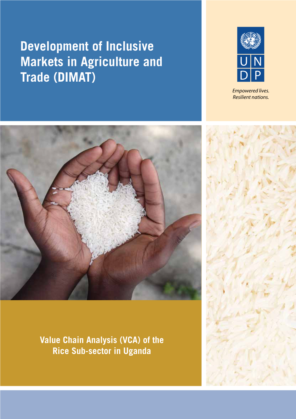 Development of Inclusive Markets in Agriculture and Trade (DIMAT)