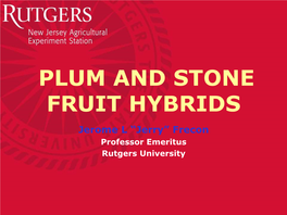 PLUM and STONE FRUIT HYBRIDS Jerome L “Jerry” Frecon Professor Emeritus Rutgers University PRUNUS DOMESTICA