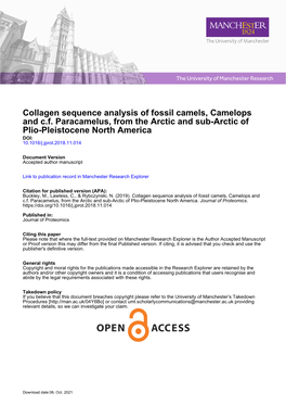 Collagen Sequence Analysis of Fossil Camels, Camelops and C.F