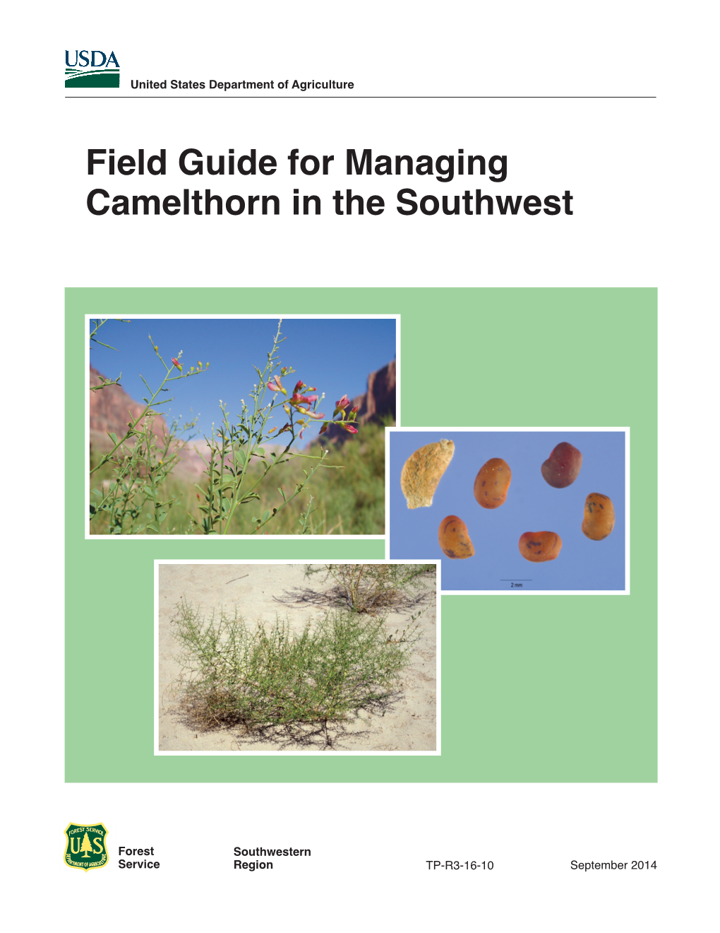 Managing Camelthorn in the Southwest