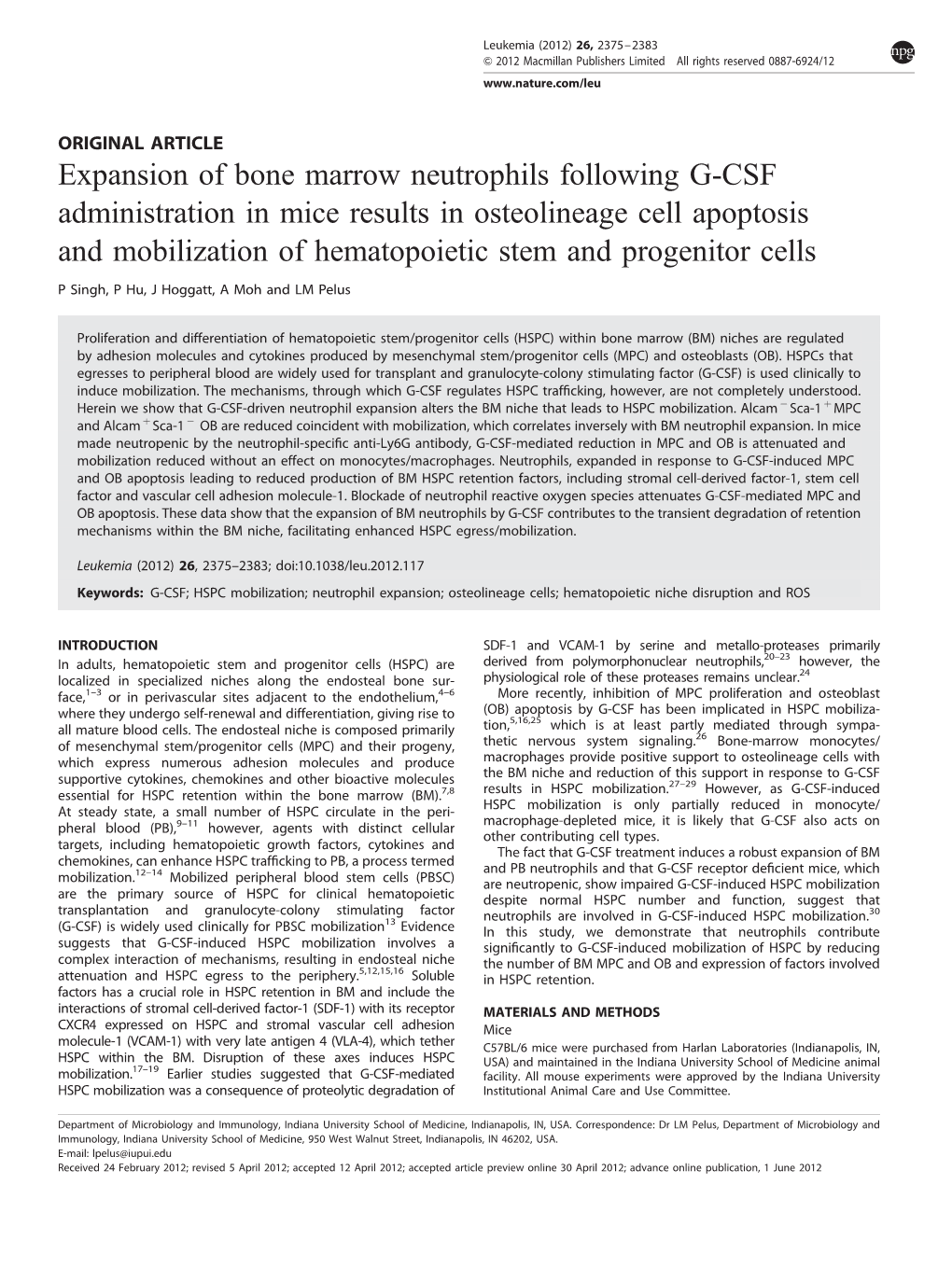 Expansion Of Bone Marrow Neutrophils Following G Csf Administration In