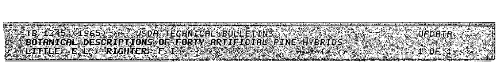 Botanical Descriptions of Forty Artificial Pine Hybrids