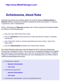 Schistosoma Species, Blood Fluke: Taxonomy, Facts, Life Cycle, Pathologies, Species at Metapathogen