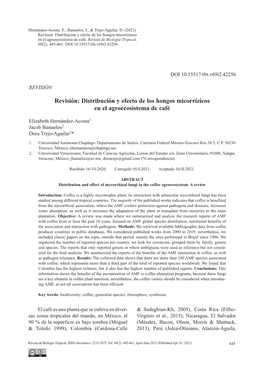Distribución Y Efecto De Los Hongos Micorrízicos En El Agroecosistema De Café