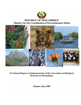 REPUBLIC of MOZAMBIQUE Ministry for the Coordination of Environmental Affairs