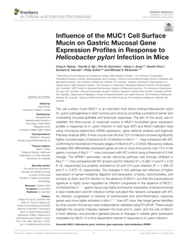 Influence of the MUC1 Cell Surface Mucin on Gastric Mucosal Gene