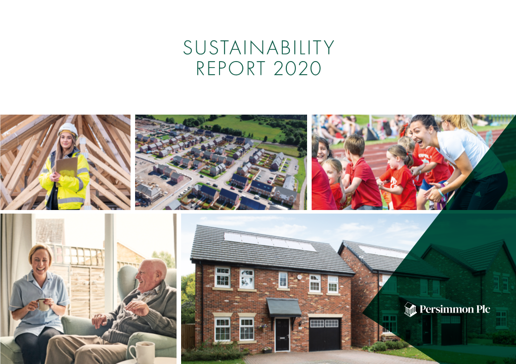 SUSTAINABILITY REPORT 2020 Overview Our Plan 2020 Review