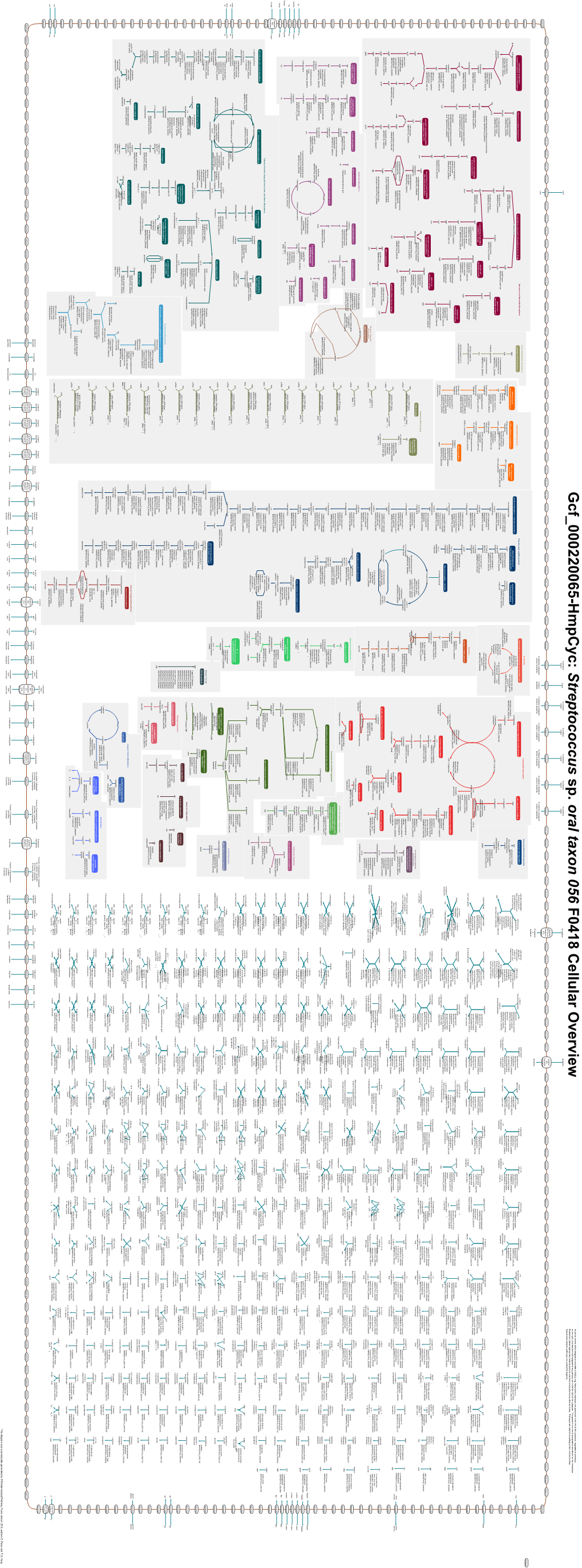 Generated by SRI International Pathway Tools Version 25.0 on Fri