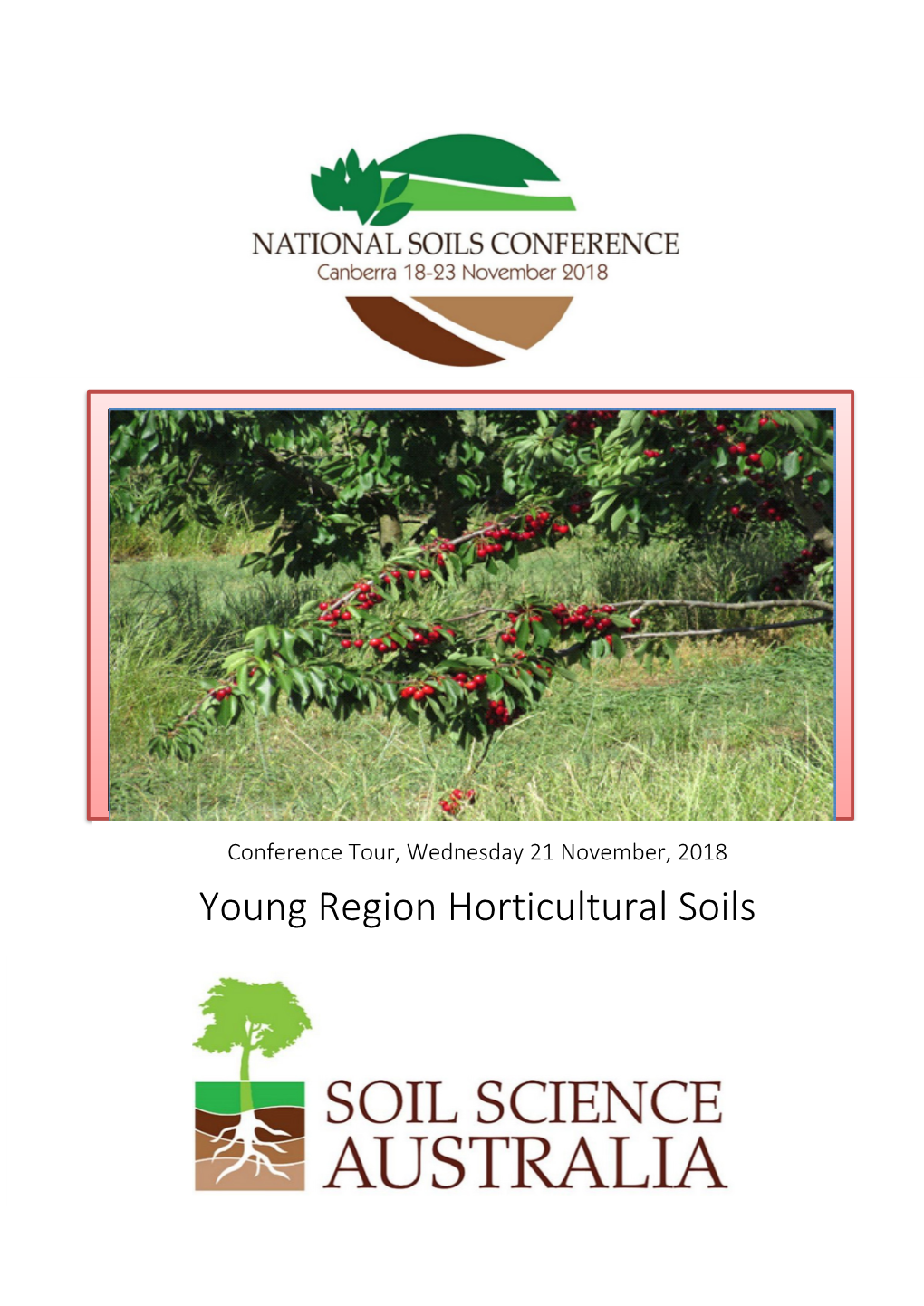 Young Region Horticultural Soils