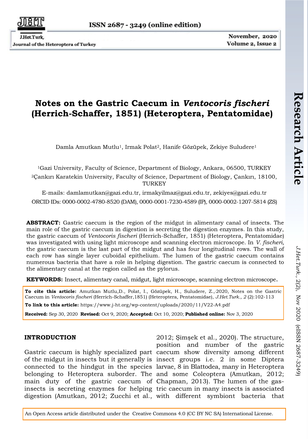 Research Article Notes on the Gastric Caecum in Ventocoris Fischeri (Herrich-Schaffer, 1851) (Heteroptera, Pentatomidae)