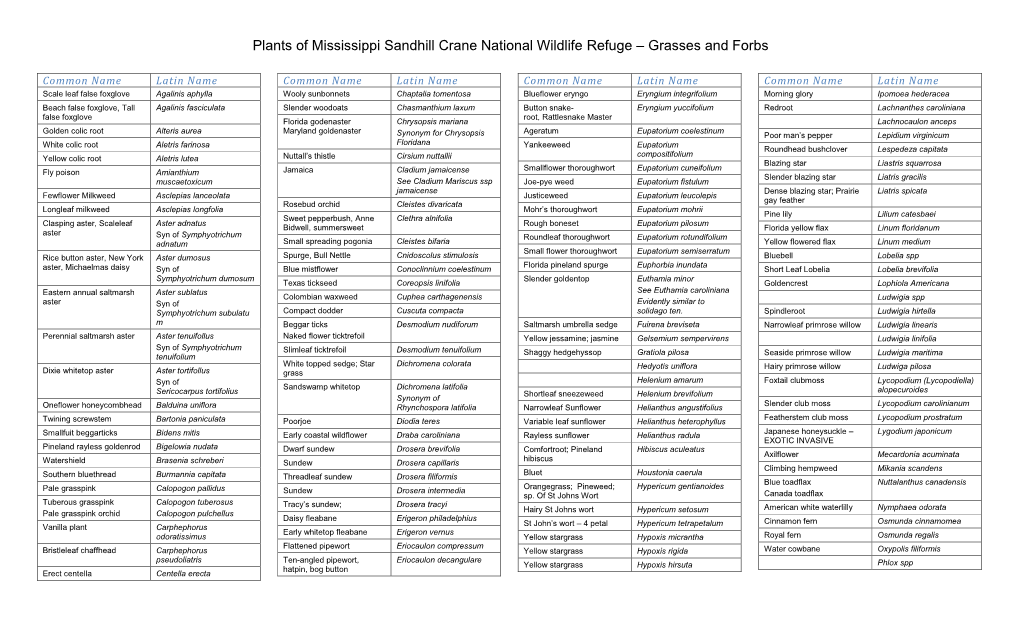 Plants of Mississippi Sandhill Crane National Wildlife Refuge – Grasses and Forbs