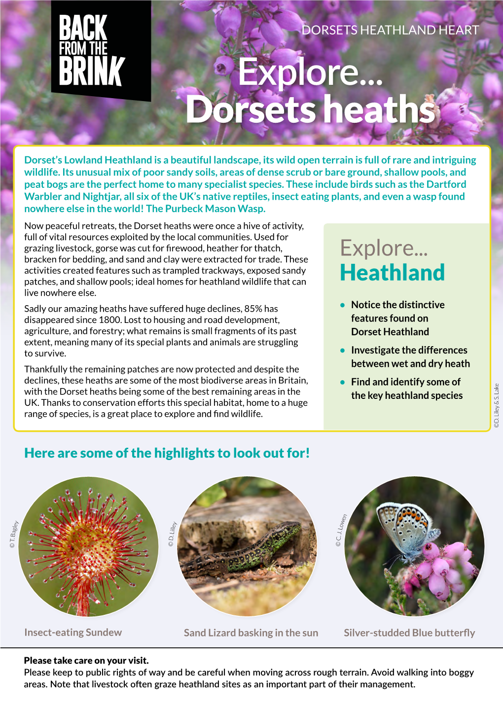 Explore... Dorsets Heaths