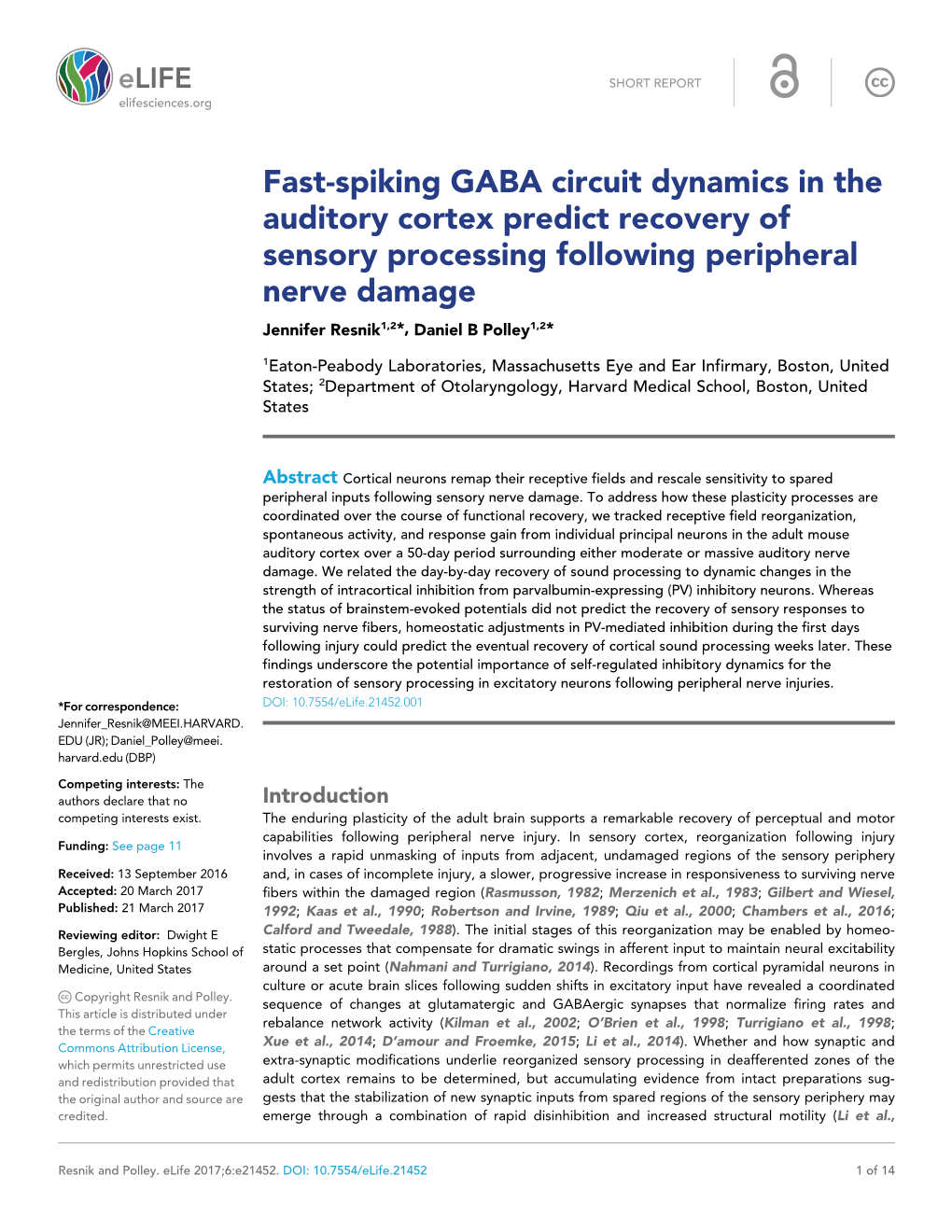 Fast-Spiking GABA Circuit Dynamics in the Auditory Cortex Predict Recovery