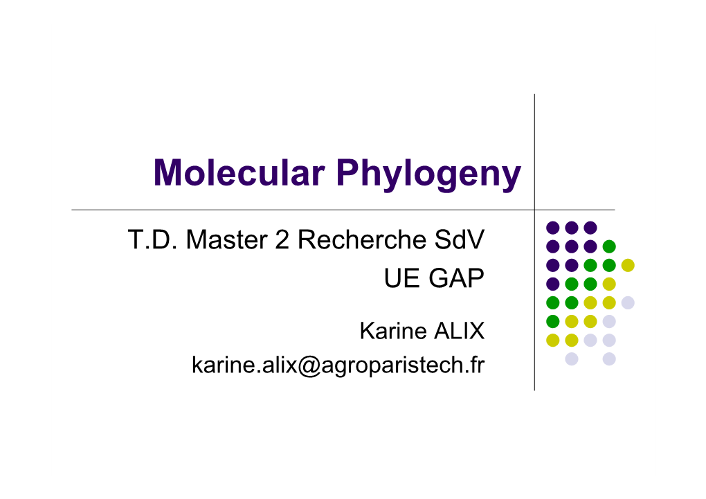 Molecular Phylogeny