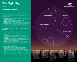 June Stargazing in the Forest