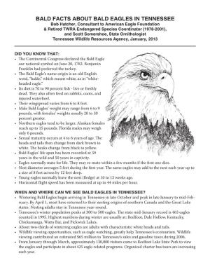 Facts About Bald Eagles in Tennessee