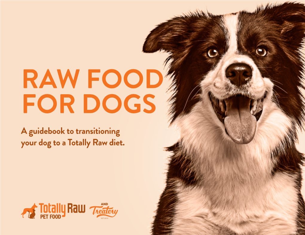 A Guidebook to Transitioning Your Dog to a Totally Raw Diet