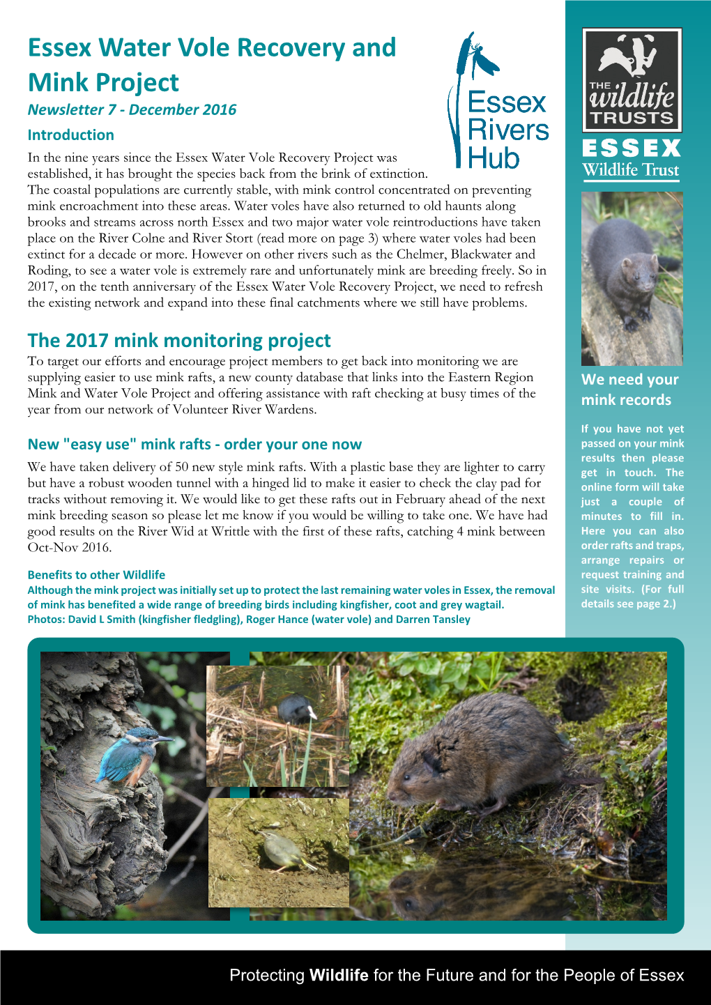 Water Vole and Mink Project Newsletter Dec 2016