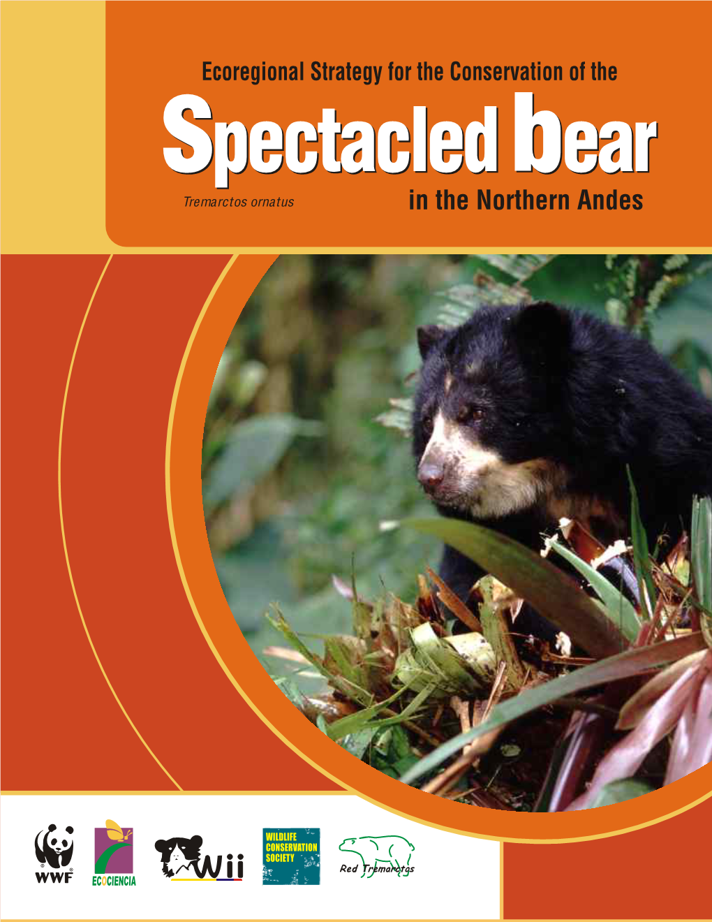 SPECTACLED BEAR (Tremarctos Ornatus) in the NORTHERN ANDES © 2003 World Wildlife Fund (WWF), Fundación Wii, Ecociencia, Wildlife Conservation Society (WCS)