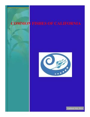 Common Fishes of California