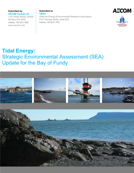 Tidal Energy: Strategic Environmental Assessment (SEA) Update for the Bay of Fundy
