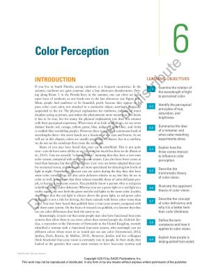 Color Perception 6