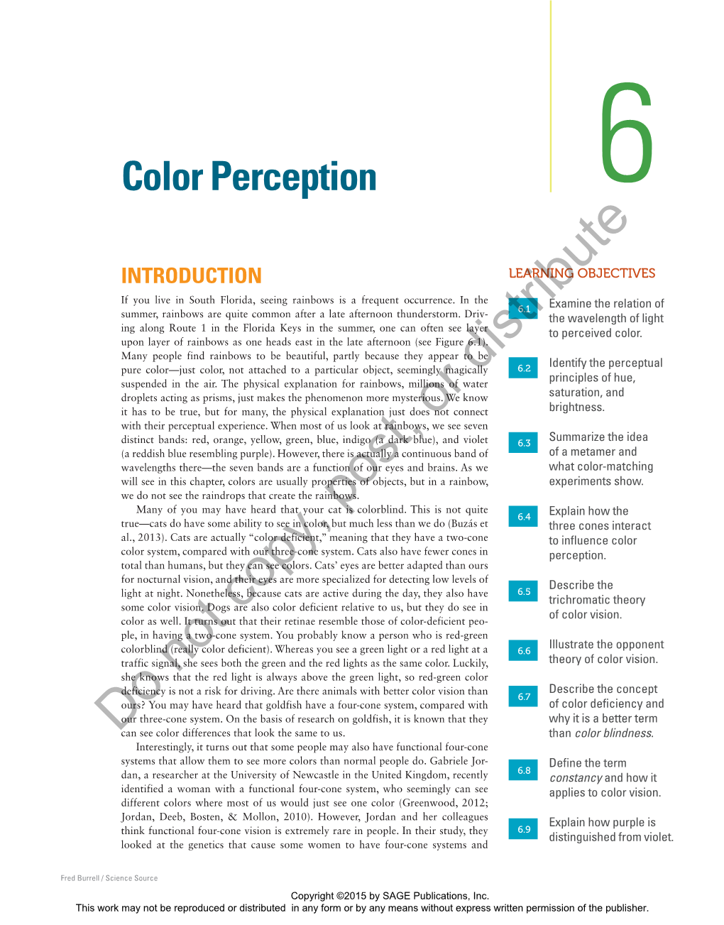 Color Perception 6