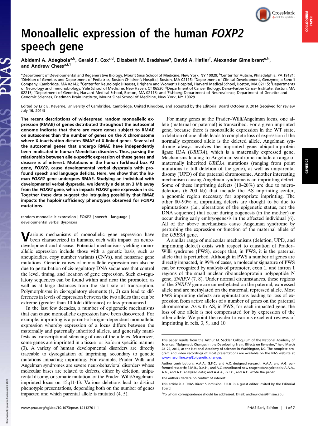 Monoallelic Expression of the Human FOXP2 Speech Gene