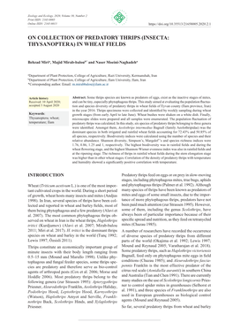 On Collection of Predatory Thrips (Insecta: Thysanoptera) in Wheat Fields