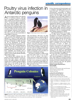 Poultry Virus Infection in Antarctic Penguins