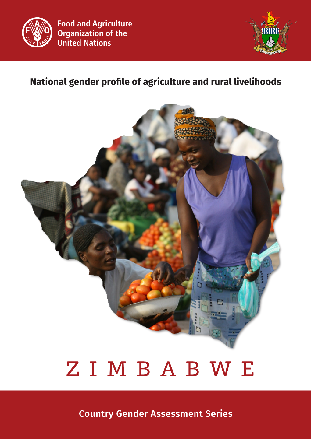 Zimbabwe Country Gender Assessment Report