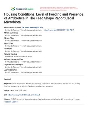 Housing Conditions, Level of Feeding and Presence of Antibiotics in the Feed Shape Rabbit Cecal Microbiota