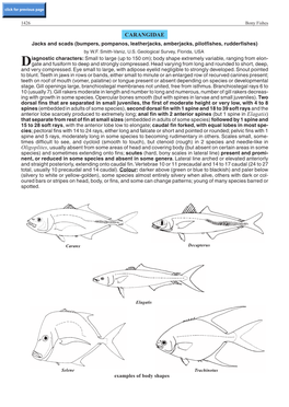 CARANGIDAE Jacks and Scads (Bumpers, Pompanos, Leatherjacks, Amberjacks, Pilotfishes, Rudderfishes) by W.F