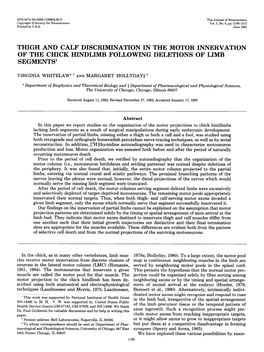 Thigh and Calf Discrimination in the Motor Innervation of the Chick Hindlimb Following Deletions of Limb Segments1