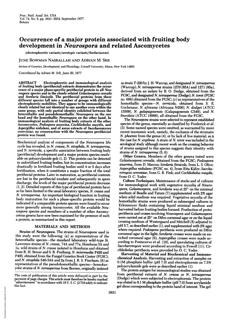 Development in Neurospora and Related Ascomycetes (Electrophoretic Variants/Serotypic Variants/Sordariaceae) JUNE BOWMAN NASRALLAH and ADRIAN M