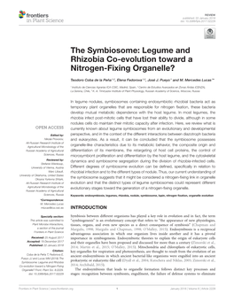 The Symbiosome: Legume and Rhizobia Co-Evolution Toward a Nitrogen-Fixing Organelle?