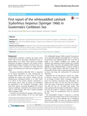 First Report of the Whitesaddled Catshark Scyliorhinus Hesperius