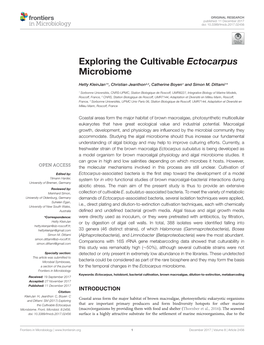 Exploring the Cultivable Ectocarpus Microbiome