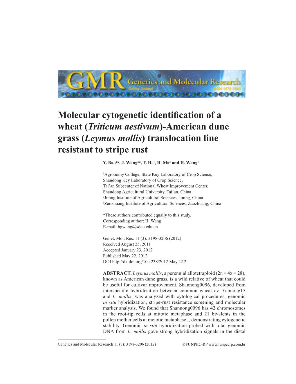 Leymus Mollis) Translocation Line Resistant to Stripe Rust