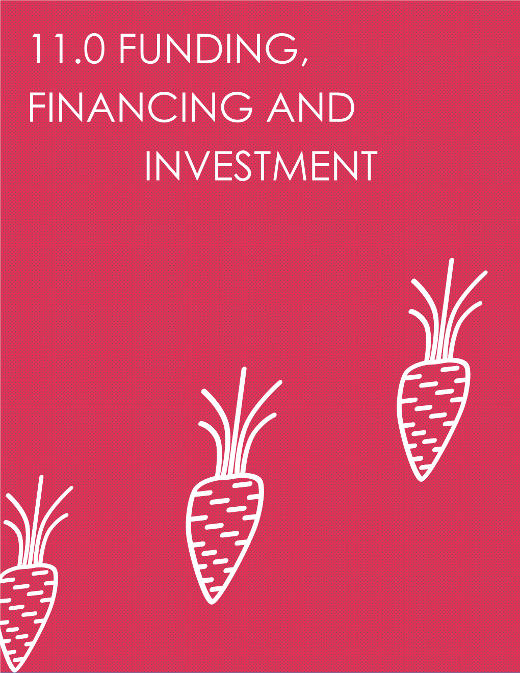 11.0 Funding, Financing and Investment