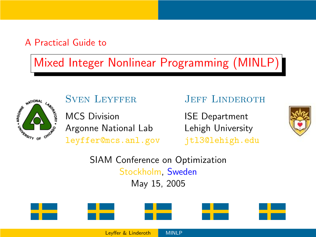 Mixed Integer Nonlinear Programming (MINLP)