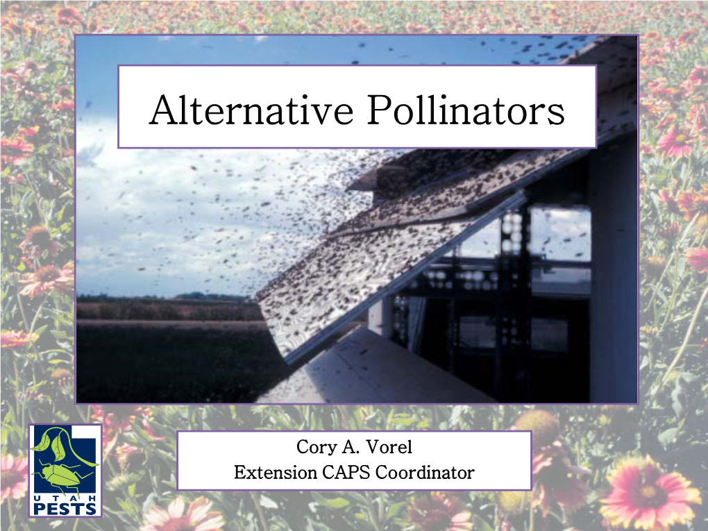 Alternative Pollinators