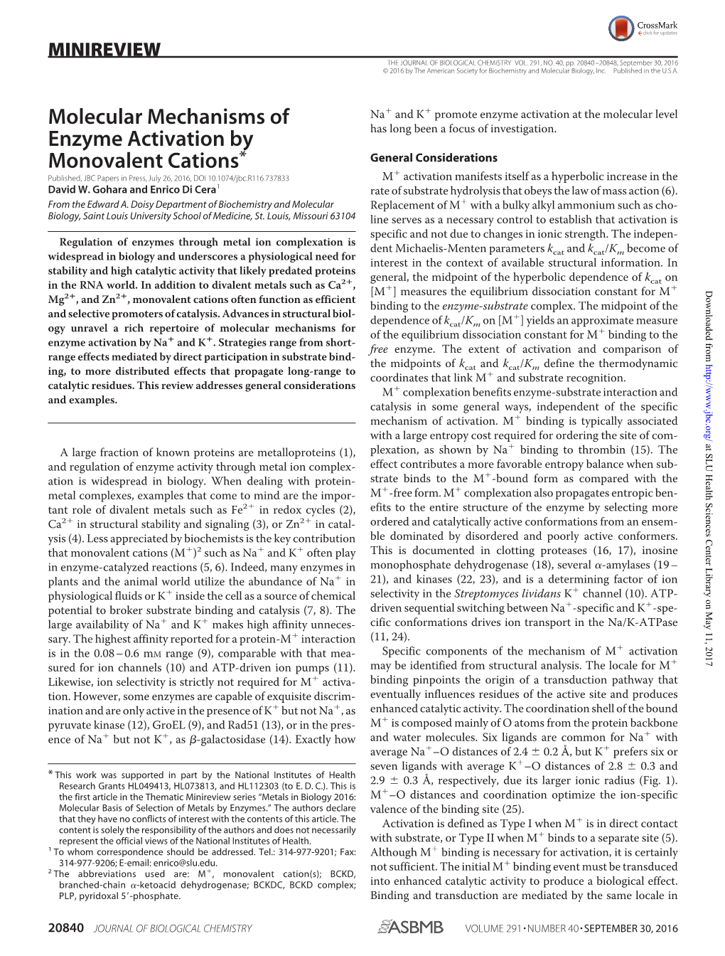 Molecular Mechanisms of Enzyme Activation by Monovalent Cations*