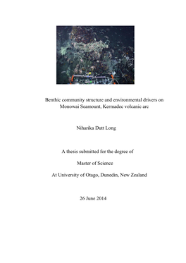 Benthic Community Structure and Environmental Drivers on Monowai Seamount, Kermadec Volcanic Arc
