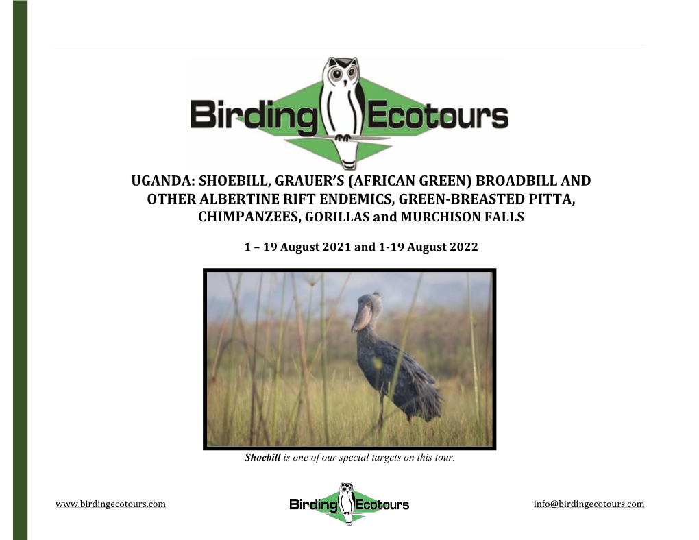 Uganda: Shoebill, Grauer's (African