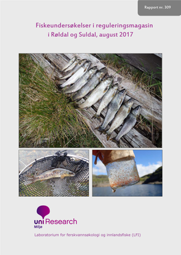 Fiskeundersøkelser I Reguleringsmagasin I Røldal Og Suldal, August 2017