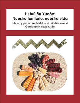 Mapeo Y Gestión Social Del Territorio Biocultural Guadalupe Hidalgo Yucóo