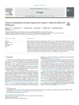 Natural Recombination of Equine Hepacivirus Subtype 1 Within The